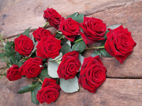 International Women's Day - Long Stemmed Red Roses with Eucalyptus